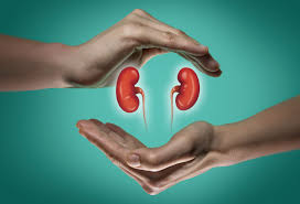 Are You Eligible To Donate A Kidney In India?