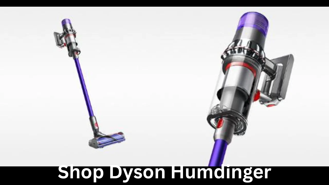 shop dyson humdinger