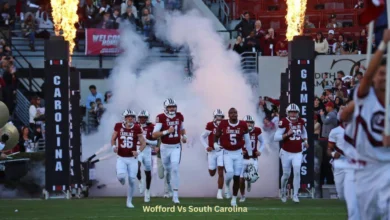 wofford vs south carolina